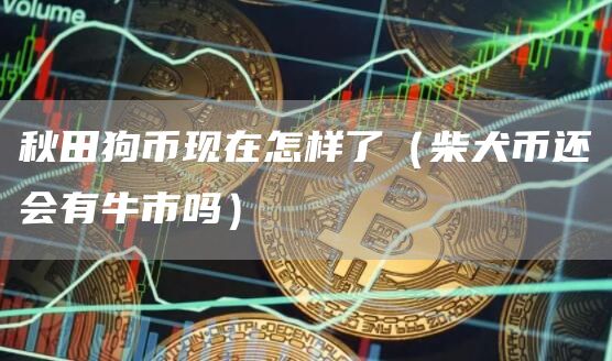 秋田狗币现在怎样了（柴犬币还会有牛市吗）