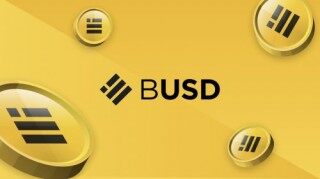 BinanceUSD(BUSD)币种介绍