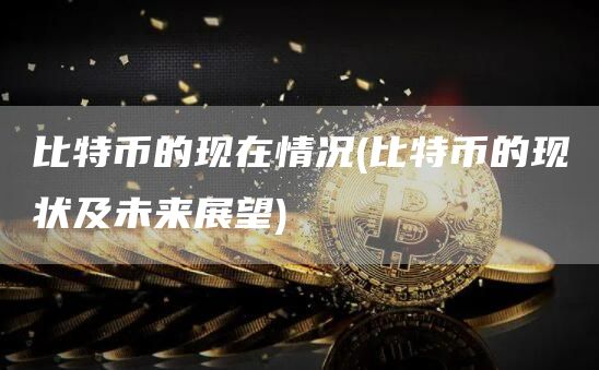 比特币的现在情况 - 比特币的现状及未来展望