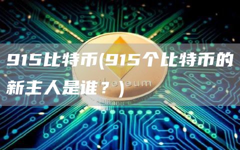 915比特币 - 915个比特币的新主人是谁？