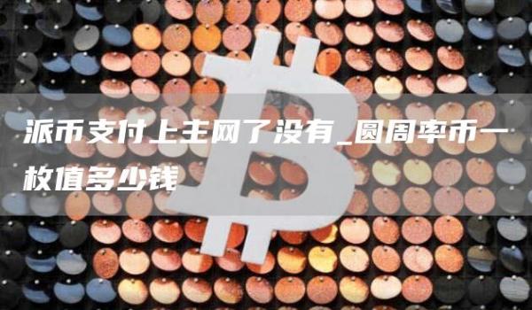 派币支付上主网了没有_圆周率币一枚值多少钱