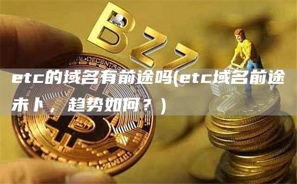 etc的域名有前途吗 - etc域名前途未卜，趋势如何？