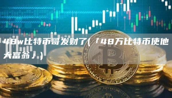 48w比特币哥发财了 - 「48万比特币使他大富翁」