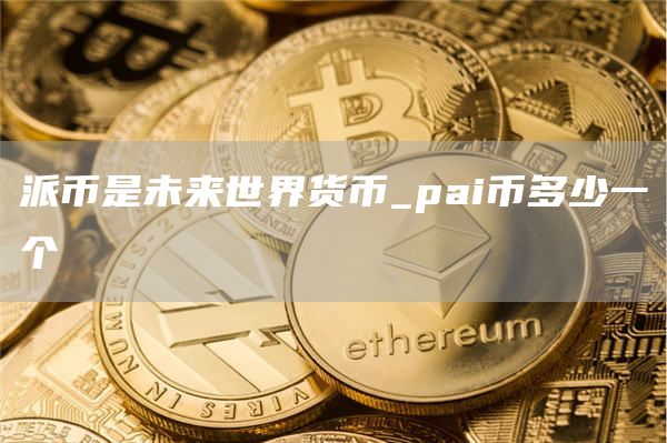 派币是未来世界货币_pai币多少一个