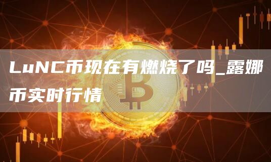 LuNC币现在有燃烧了吗_露娜币实时行情