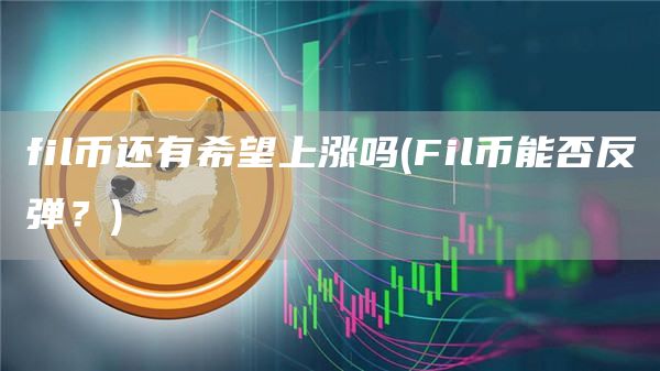fil币还有希望上涨吗 - Fil币能否反弹？