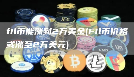 fil币能涨到2万美金 - Fil币价格或涨至2万美元