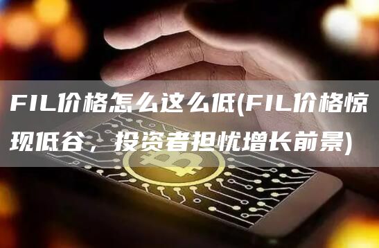 FIL价格怎么这么低 - FIL价格惊现低谷，投资者担忧增长前景