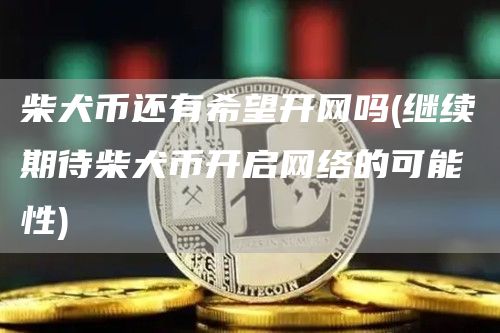 柴犬币还有希望开网吗 - 继续期待柴犬币开启网络的可能性