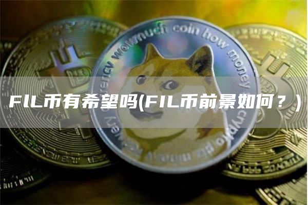 FlL币有希望吗 - FIL币前景如何？