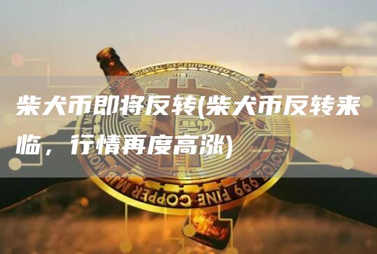 柴犬币即将反转 - 柴犬币反转来临，行情再度高涨