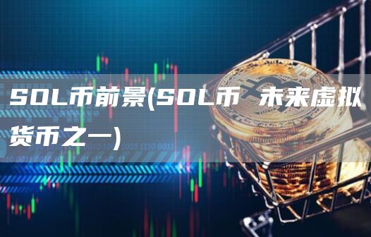 SOL币前景 - SOL币 未来虚拟货币之一