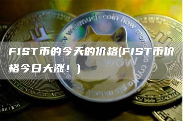 FIST币的今天的价格 - FIST币价格今日大涨！