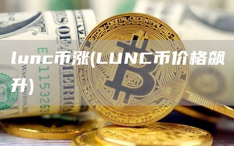 lunc币涨 - LUNC币价格飙升