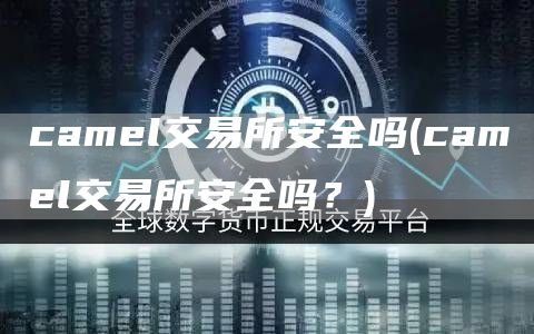 camel交易所安全吗 - camel交易所安全吗？