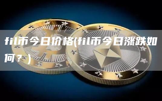 fil币今日价格 - fil币今日涨跌如何？