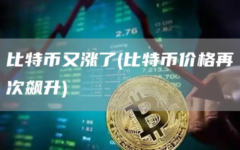 比特币又涨了 - 比特币价格再次飙升