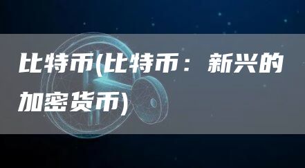 比特币 - 比特币：新兴的加密货币