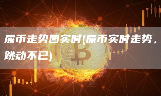屎币走势图实时 - 屎币实时走势，跳动不已