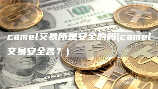 camel交易所是安全的吗 - camel交易安全否？