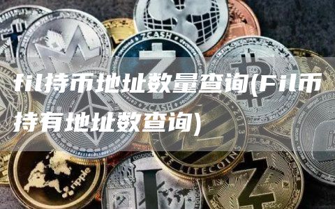 fil持币地址数量查询 - Fil币持有地址数查询