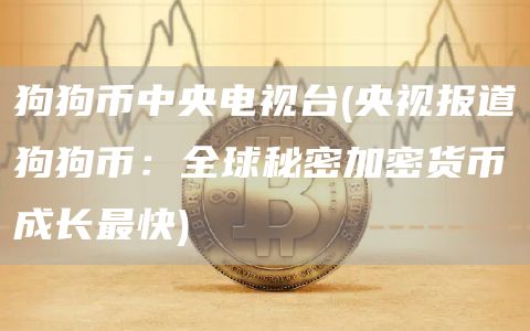 狗狗币中央电视台 - 央视报道狗狗币：全球秘密加密货币成长最快