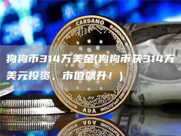 狗狗币314万美金 - 狗狗币获314万美元投资，市值飙升！
