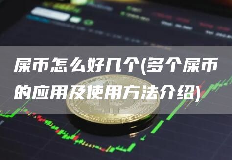 屎币怎么好几个 - 多个屎币的应用及使用方法介绍