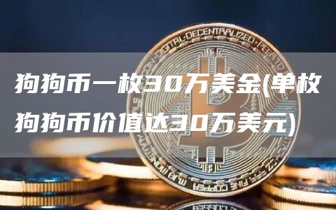 狗狗币一枚30万美金 - 单枚狗狗币价值达30万美元