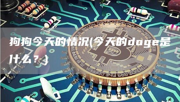 狗狗今天的情况 - 今天的doge是什么？