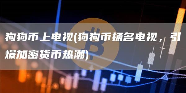 狗狗币上电视 - 狗狗币扬名电视，引爆加密货币热潮