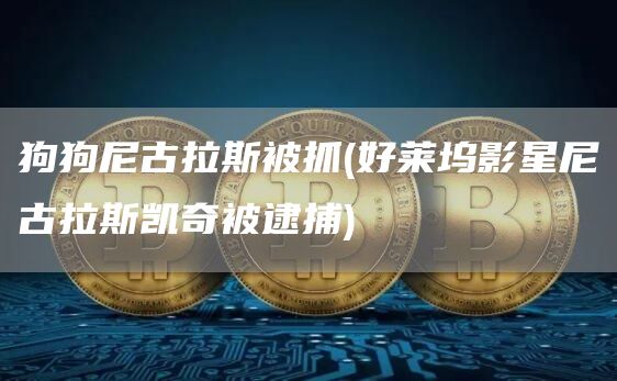 狗狗尼古拉斯被抓 - 好莱坞影星尼古拉斯凯奇被逮捕