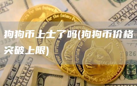 狗狗币上士了吗 - 狗狗币价格突破上限