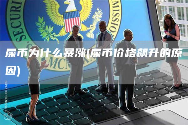 屎币为什么暴涨 - 屎币价格飙升的原因