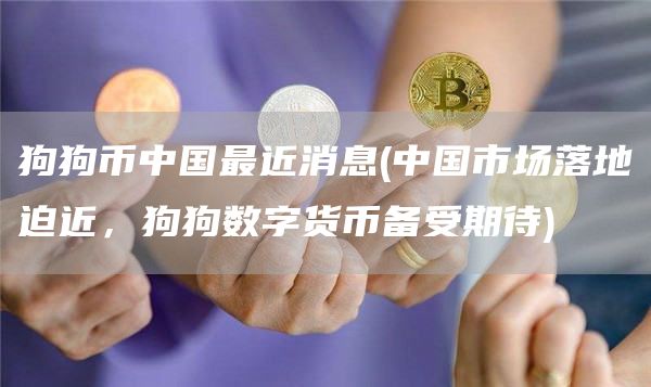 狗狗币中国最近消息 - 中国市场落地迫近，狗狗数字货币备受期待