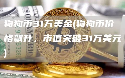 狗狗币31万美金 - 狗狗币价格飙升，市值突破31万美元