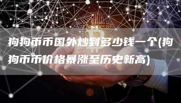 狗狗币币国外炒到多少钱一个 - 狗狗币币价格暴涨至历史新高
