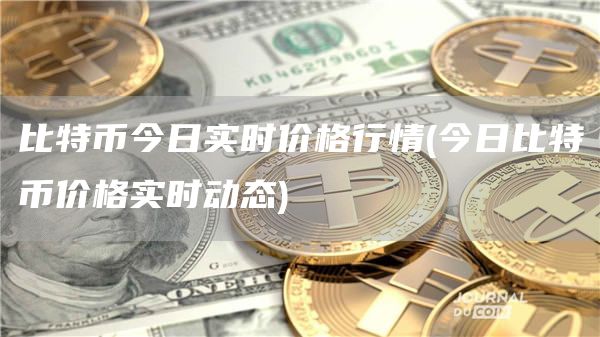 比特币今日实时价格行情 - 今日比特币价格实时动态