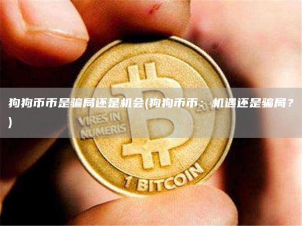 狗狗币币是骗局还是机会 - 狗狗币币：机遇还是骗局？