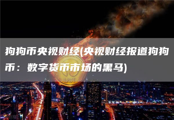 狗狗币央视财经 - 央视财经报道狗狗币：数字货币市场的黑马