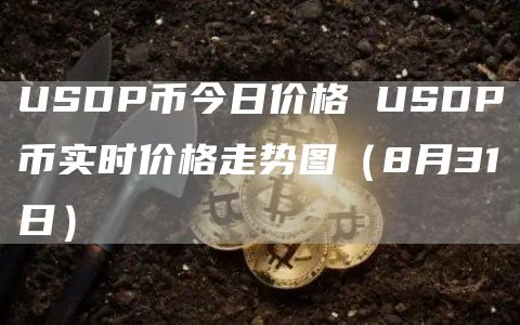 USDP币今日价格 USDP币实时价格走势图（8月31日）