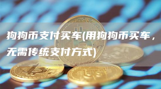 狗狗币支付买车 - 用狗狗币买车，无需传统支付方式