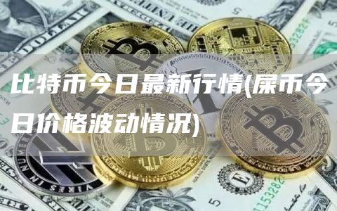 比特币今日最新行情 - 屎币今日价格波动情况