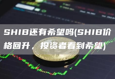 SHIB还有希望吗 - SHIB价格回升，投资者看到希望
