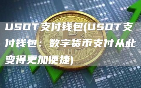 USDT支付钱包 - USDT支付钱包：数字货币支付从此变得更加便捷