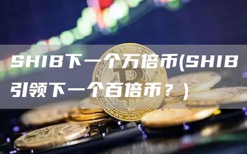 SHIB下一个万倍币 - SHIB引领下一个百倍币？
