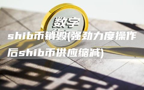 shib币销毁 - 强劲力度操作后shib币供应缩减