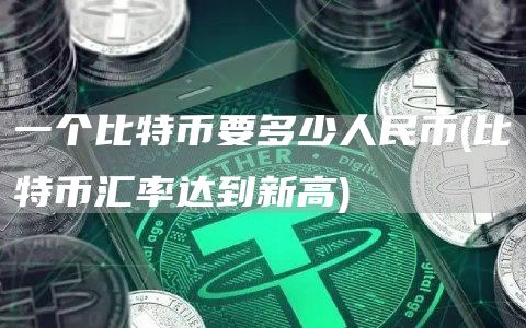 一个比特币要多少人民币 - 比特币汇率达到新高