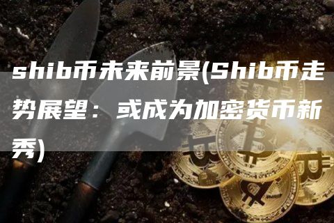 shib币未来前景 - Shib币走势展望：或成为加密货币新秀