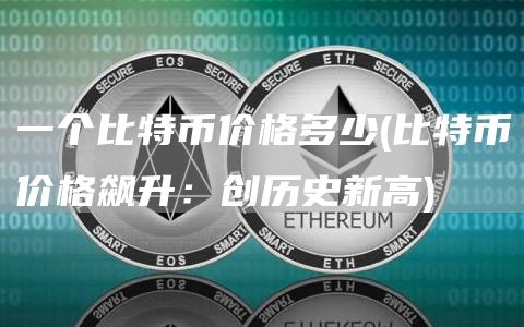 一个比特币价格多少 - 比特币价格飙升：创历史新高